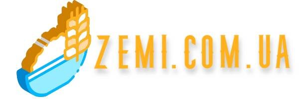 Zemi logo