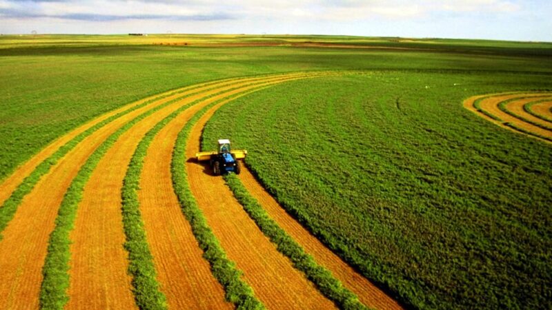 Sell or buy a plot of land under the new law