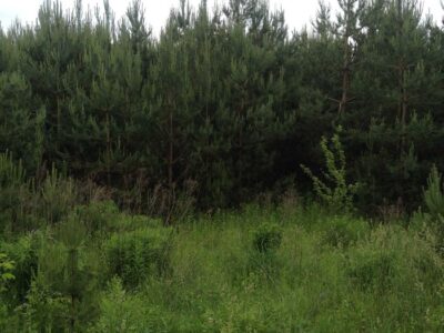 Продається пай 2 га с. Комарівка