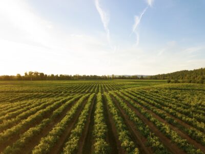 Продаж земельної ділянки комерційного призначення, площа 1.9438 Га