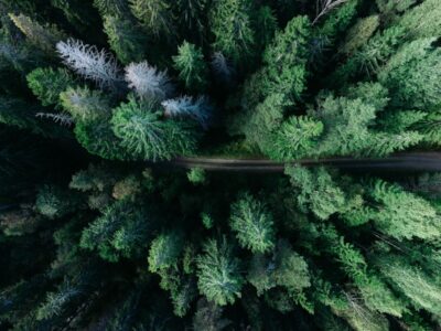 Продаж земельної ділянки під житлову забудову, площа 5 соток